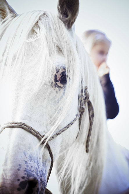 Kids > Téa Horses010©rosemagic-Nathalie Bougelet